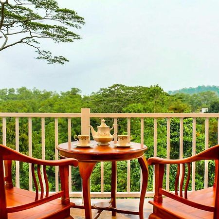 Bee View Home Stay Kandy Exteriér fotografie