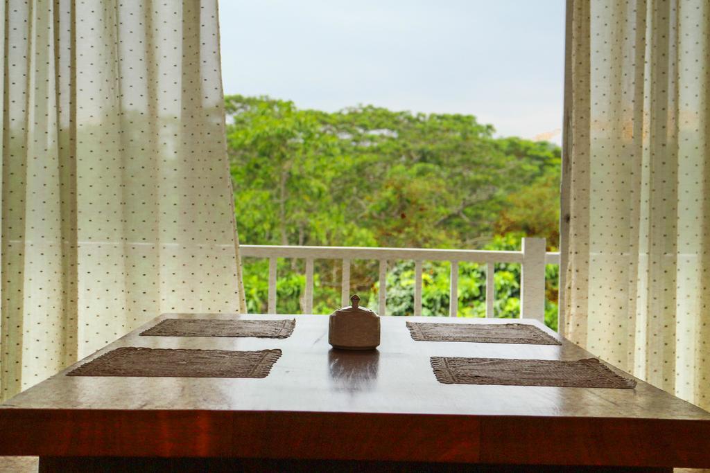 Bee View Home Stay Kandy Exteriér fotografie